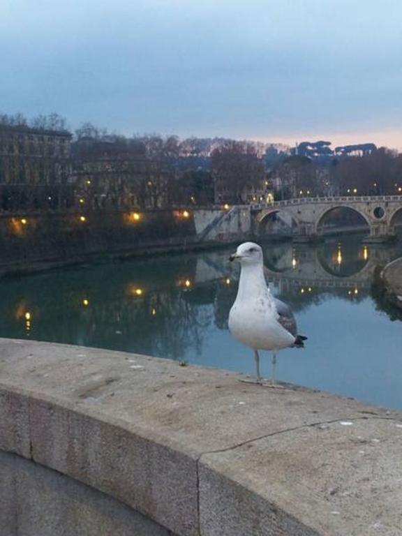 Welcome To Rome B&B المظهر الخارجي الصورة